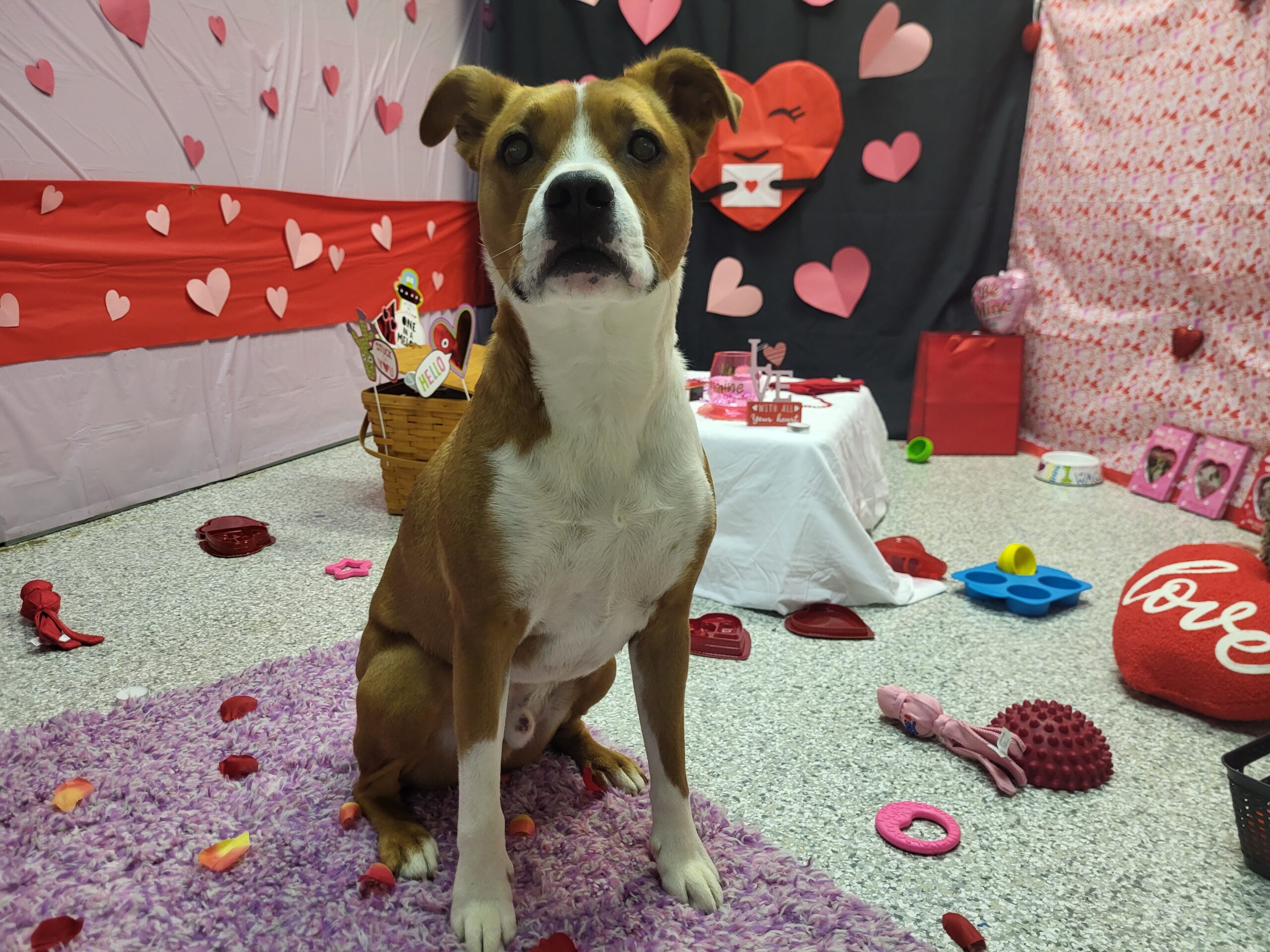 Bishop VDay Pic
